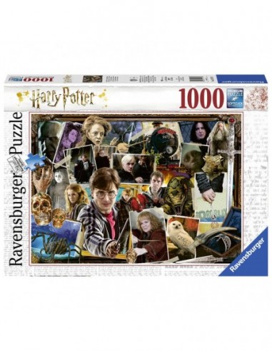 Puzzle Harry vs Voldemort Harry...