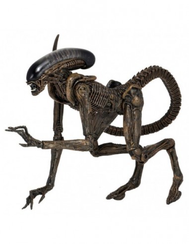 Figura articulada Ultimate Dog Alien...