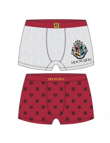 Pack 2 calzoncillos boxer Harry Potter