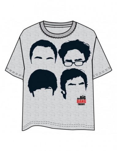 Camiseta The Big Bang Theory siluetas...