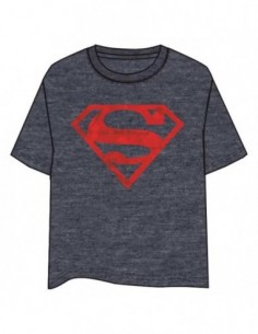 Camiseta Logo Superman DC...