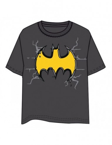 Camiseta Logo Batman DC Comics adulto