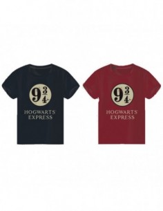 Camiseta Hogwarts Express...