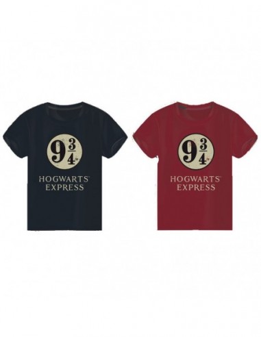Camiseta Hogwarts Express Harry...