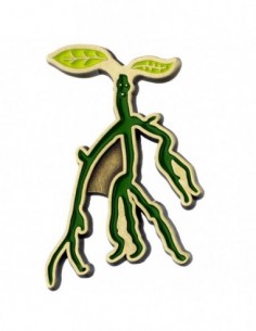Pin Bowtruckle Animales...